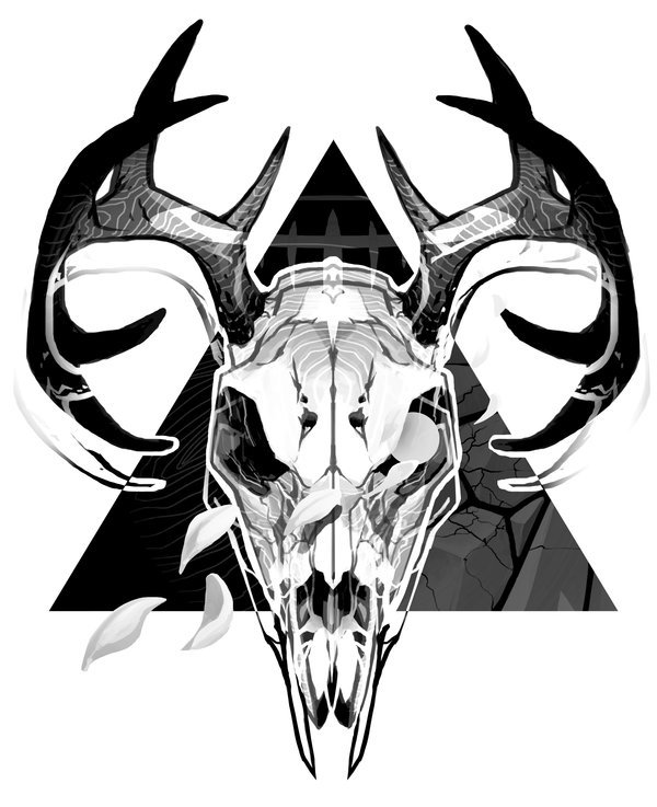 600x737 Images Deer Skull Drawing Tumblr