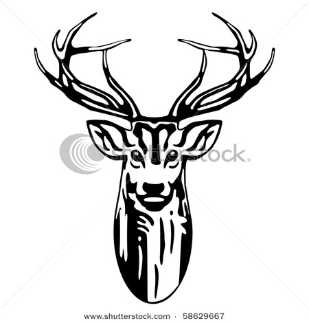 450x470 Stag Clipart Deer Skull