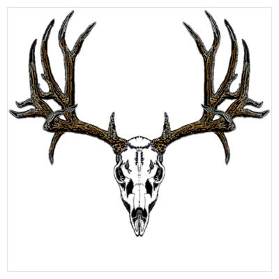 400x400 Deer Skull Drawings Cafepress Gt Wall Art Gt Posters Gt European