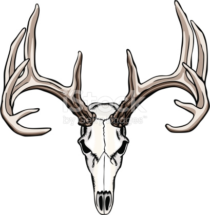 409x419 Deer Skull