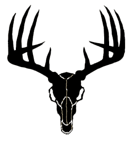 256x288 Buck Clipart Deer Skull