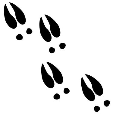 375x380 Deer Tracks Decals Md Window Stickers