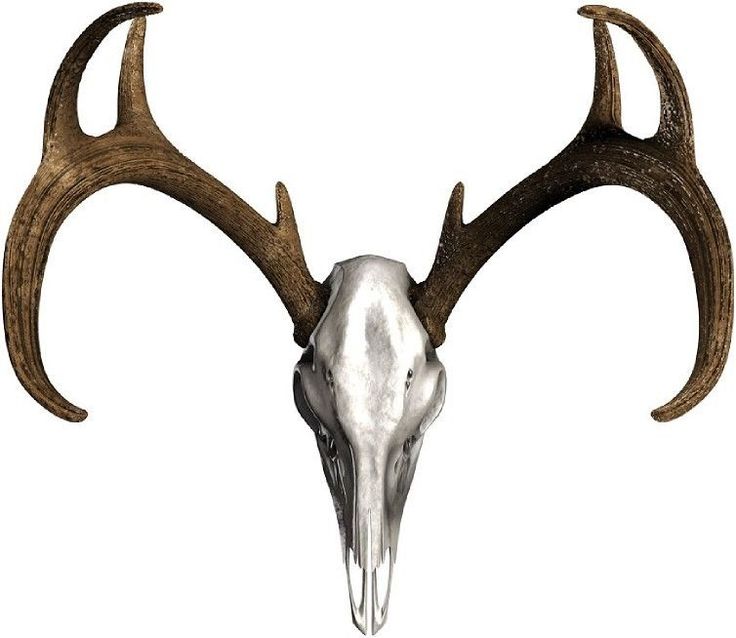 736x638 56 Best Cornhole Board Decals Amp Graphics Images