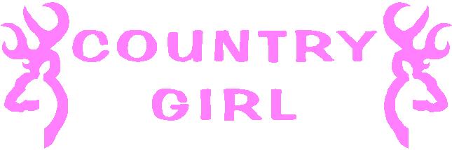 645x215 Redneck Cowboy Rebel Skull Decal Decals Sticker [616 Grafx