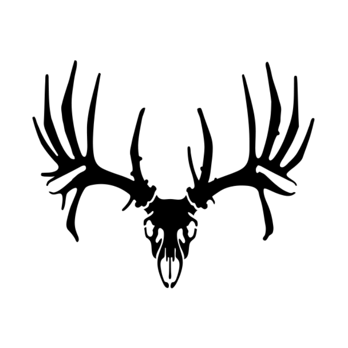 715x715 Whitetail Skull Decal