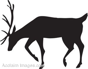 300x236 Clipart Picture Of A Reindeer