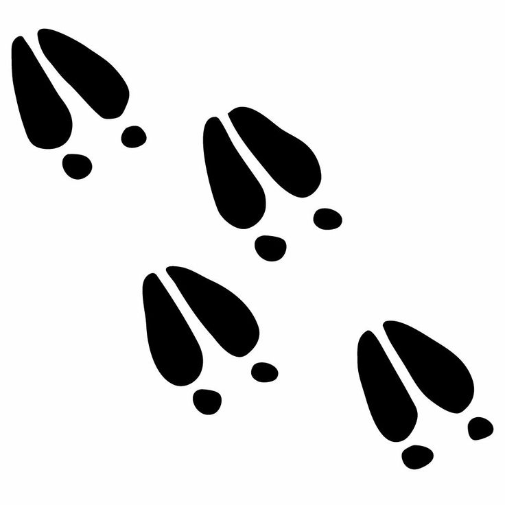 736x736 Elk Clipart Footprint