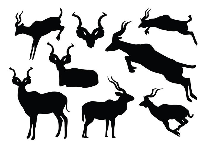 700x490 Jumping Kudu Silhouette