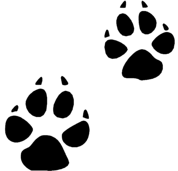 600x577 Animal Paw Prints Clipart
