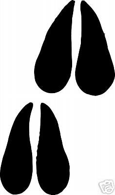 236x400 Pronghorn Track Footprint Sticker Hoof Print Decal Ebay