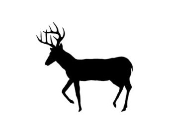 340x270 Buck Clip Art European Mount Deer Skull Clip Art Deer Track Clip