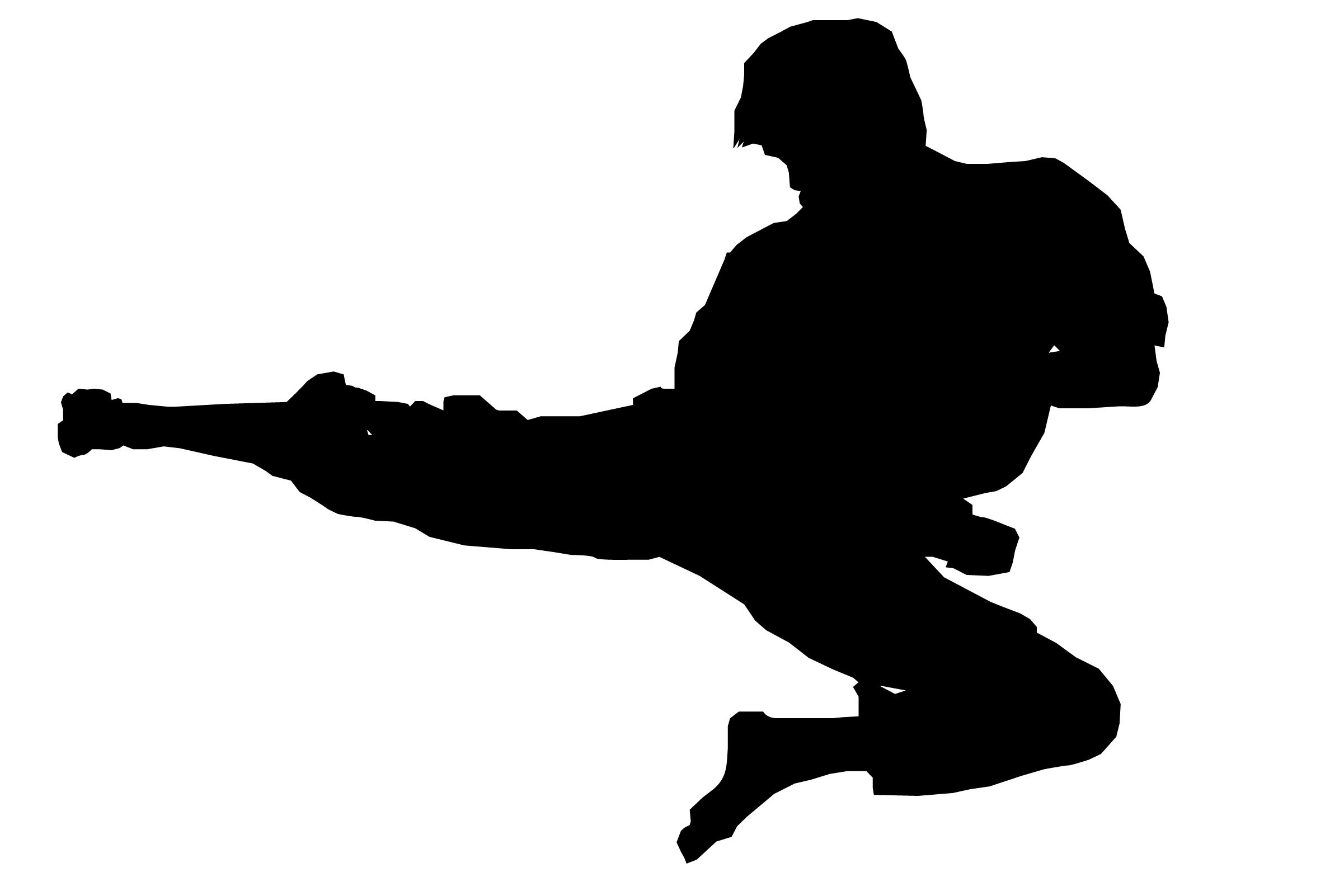 2402x1602 Karate Silhouette Clipart