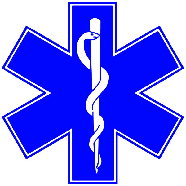 600x600 Medical Clipart Emblem