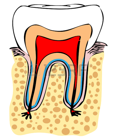 375x450 Dental Emblem