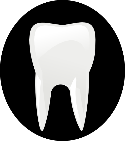 528x594 Tooth Molar Clip Art Free Vector 4vector