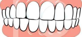 272x125 Dentistry Clipart Clipart Panda