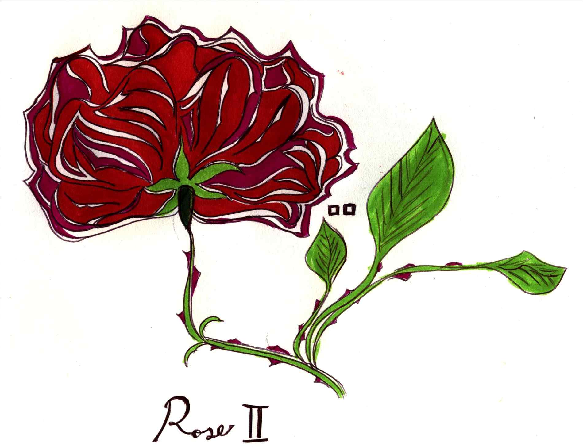 1900x1461 Roses Freespywarefixescom