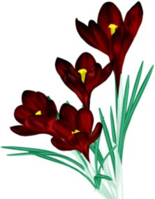 222x285 74 Best Corners Images Card Book, Chinese Painting