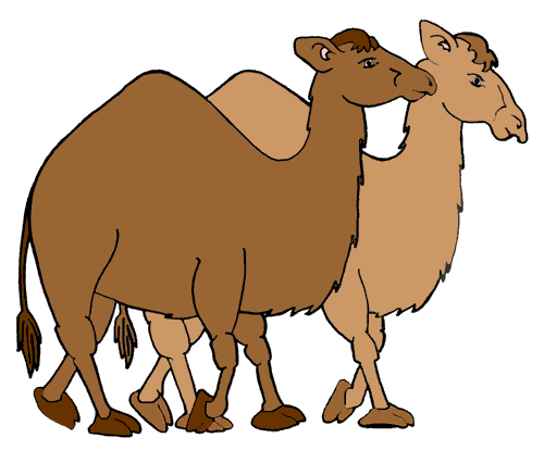500x414 Camel Clipart 2 Image