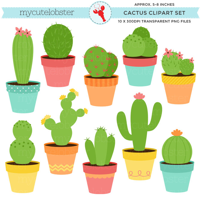 670x670 In The Desert Clipart Different Kind Plant