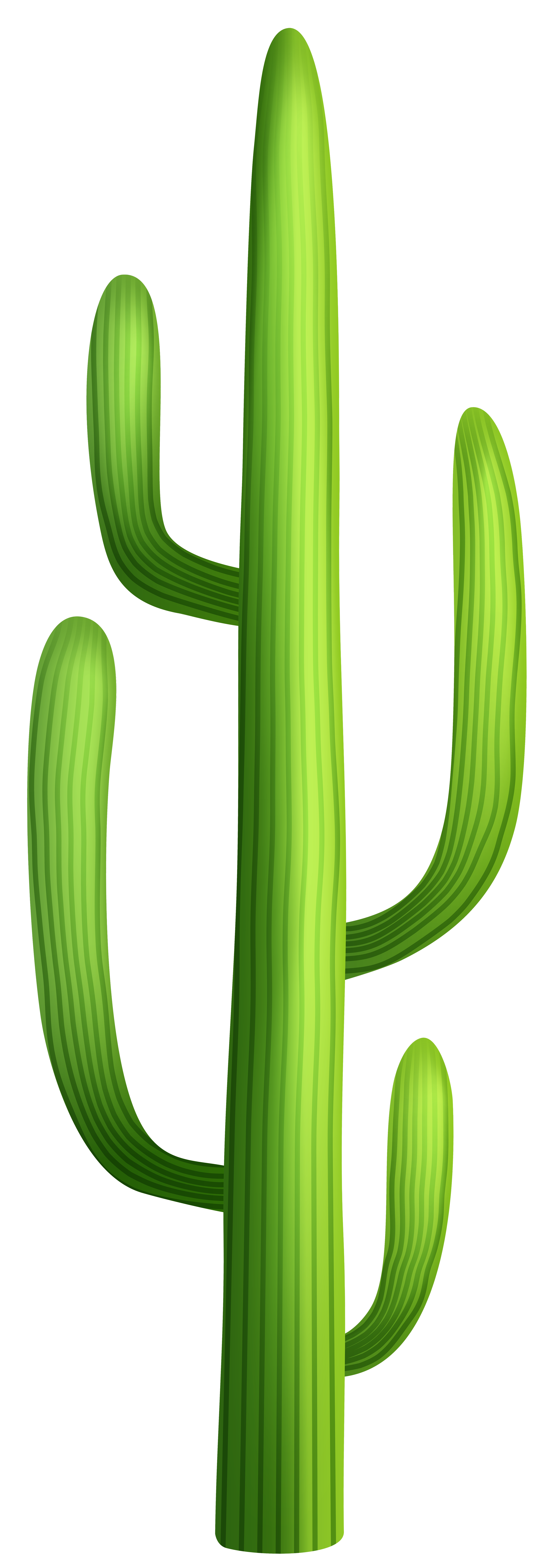 2821x8000 Cactus Clipart Png