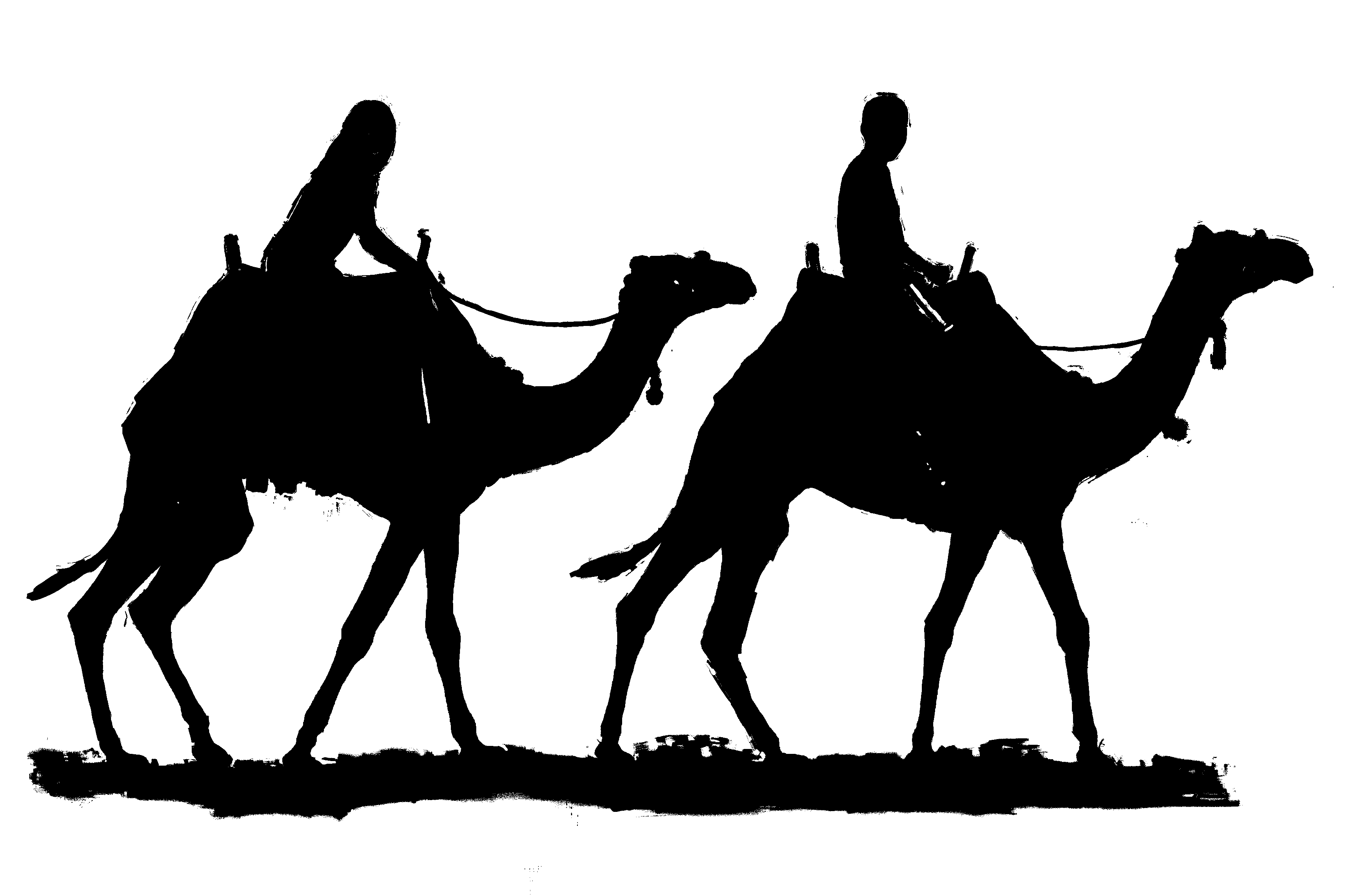 3600x2364 Camel Clip Art