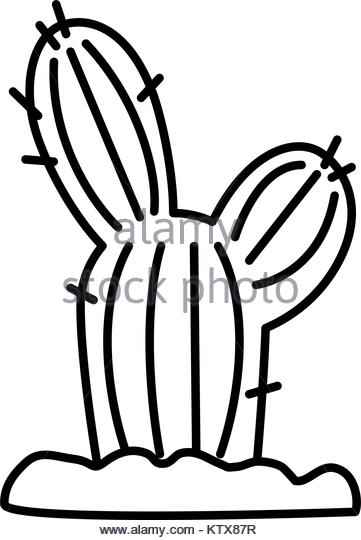 361x540 Saguaro Cactus Desert Black And White Stock Photos Amp Images