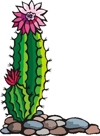 336x456 Best Cactus Clipart Ideas Cactus Backgrounds