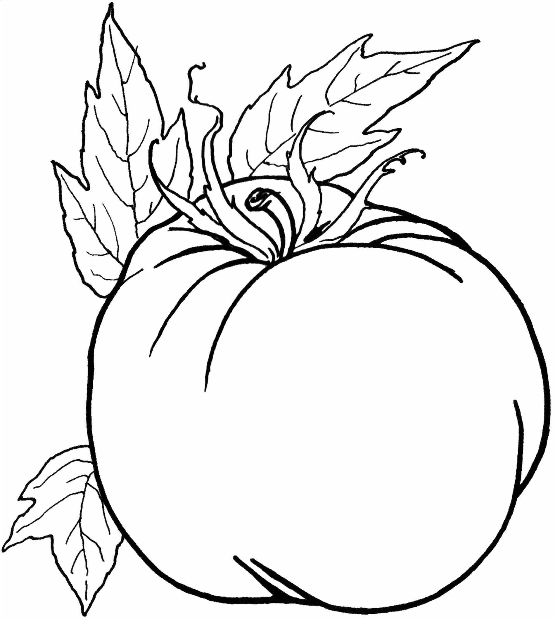 1899x2119 Coloring Pages Kids Ds Pizza 4 Coloring Page Pizza Coloring