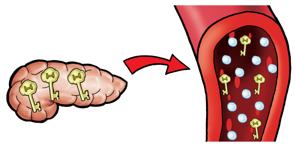 Diabetic Cliparts Free Download On Clipartmag