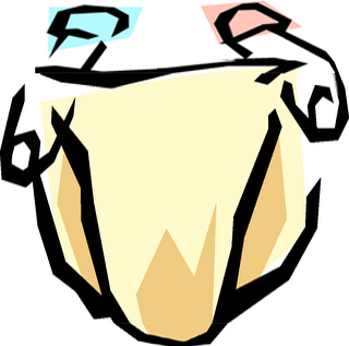 320x317 Enkore Cloth Diaper Closet Enkore Kids, Boonsboro, Md