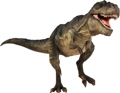 500x386 Download Dinosaur Clipart