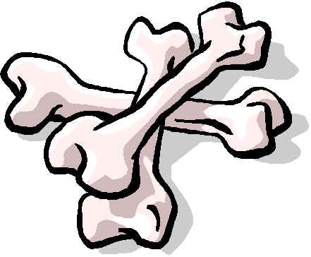 441x364 Animal Bones Clipart