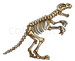 320x260 Dinosaur Skeleton Stock Vector Colourbox