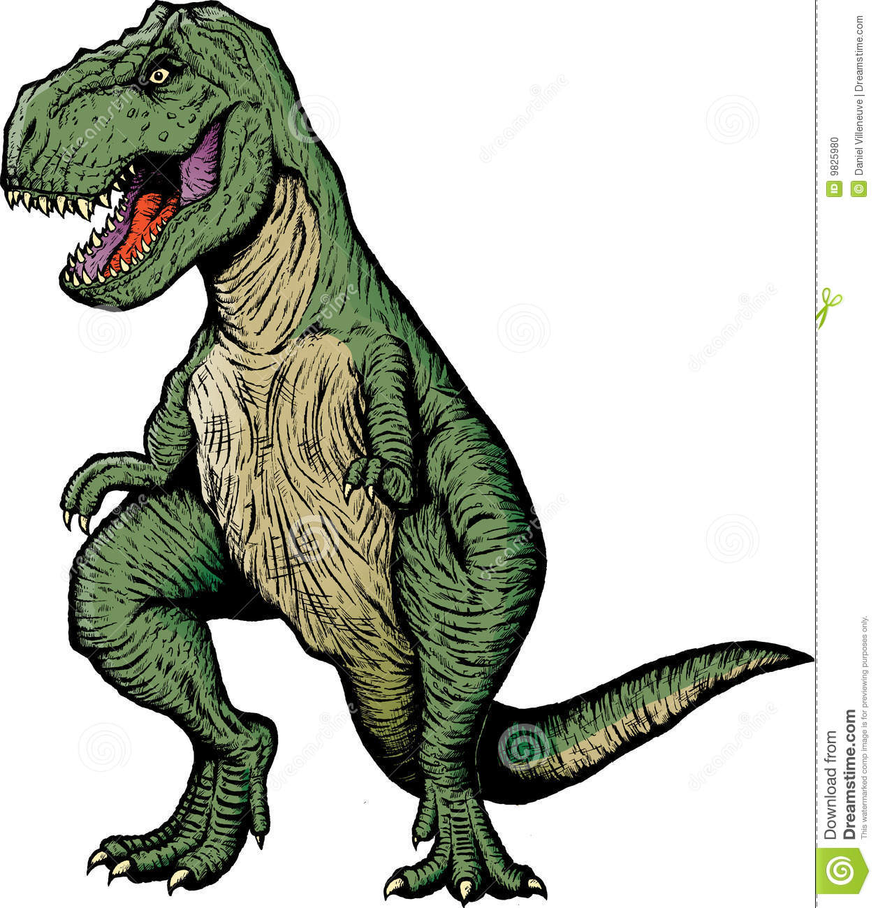 1257x1300 T Rex Dinosaur Clipart