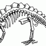 150x150 Dinosaur Bones Clipart
