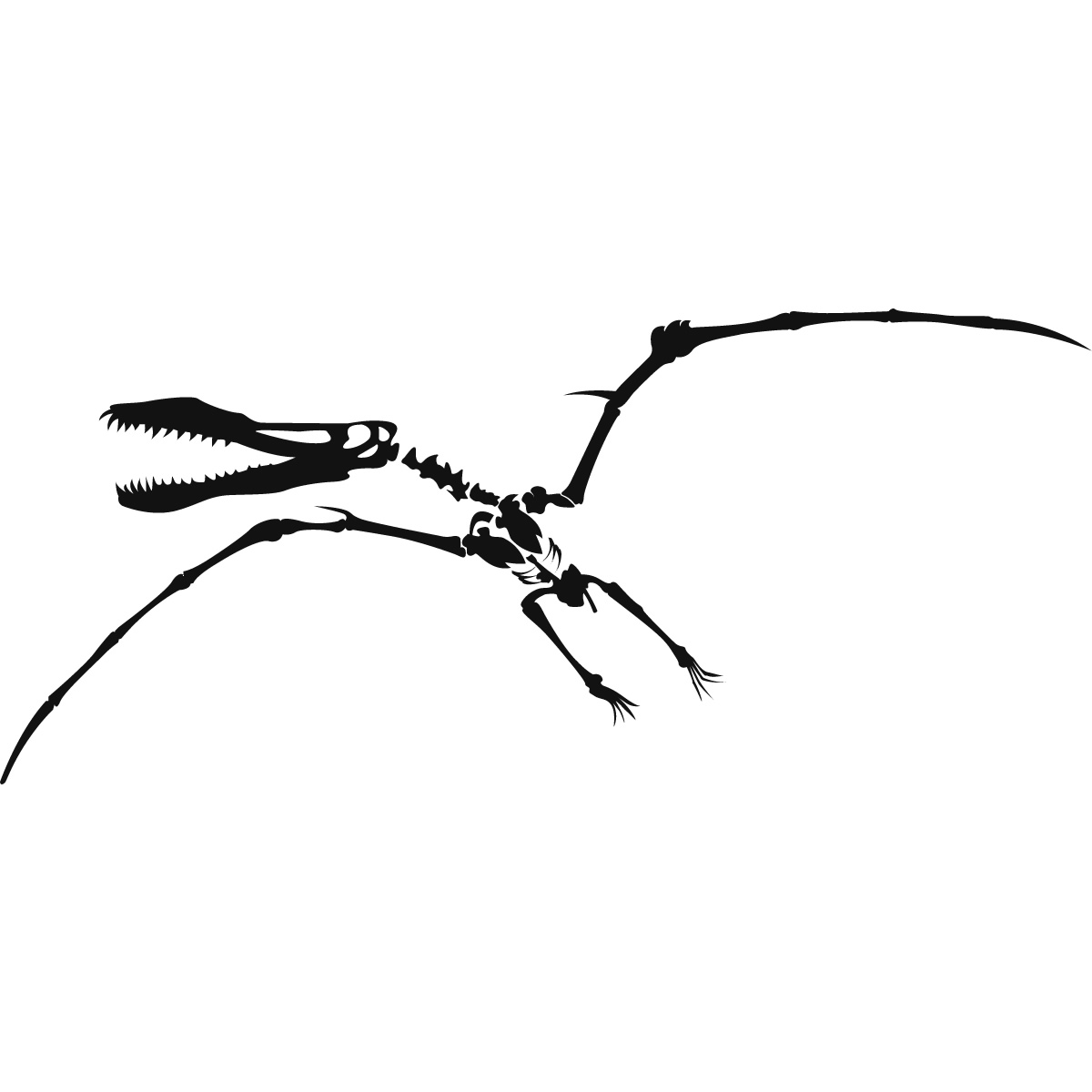 1200x1200 Pterodactyl Skeleton Dinosaurs Wall Art Sticker Wall Decal