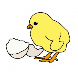 260x260 Chicken Eggs Hatching Clipart Amp Chicken Eggs Hatching Clip Art