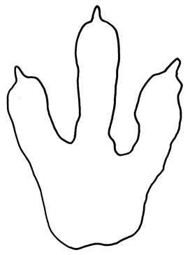 272x365 Dinosaur Footprint Clipart