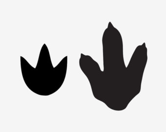 340x270 Crocodile Clipart Footprint