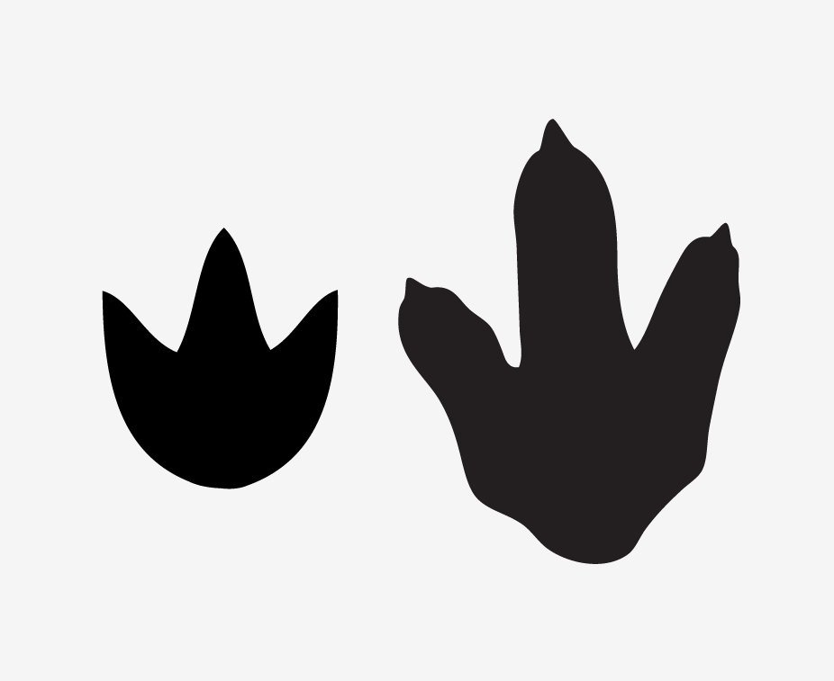 926x757 Dinosaur Clipart Dinosaur Footprint