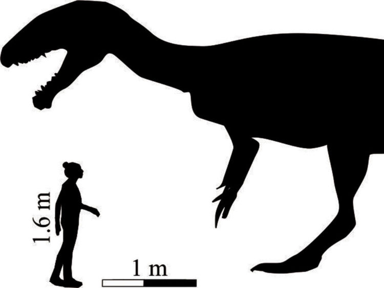 750x563 Dinosaur Footprints Four Times Bigger Than A Lion Are Found In Africa