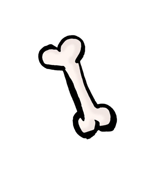 535x603 Clipart Dinosaur Bones