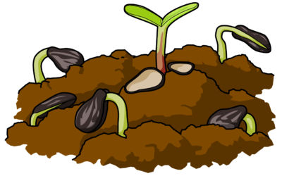 400x250 Dirt Clipart Transparent
