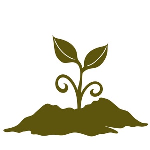 300x300 Plant Clipart Image