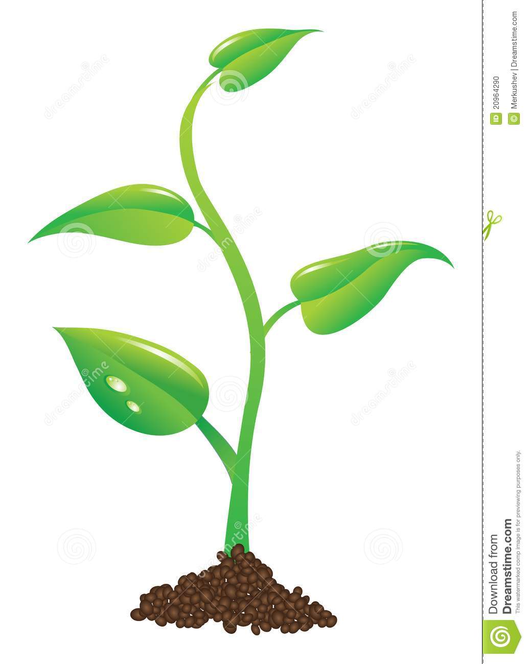 1033x1300 Dirt Clipart Little Plant