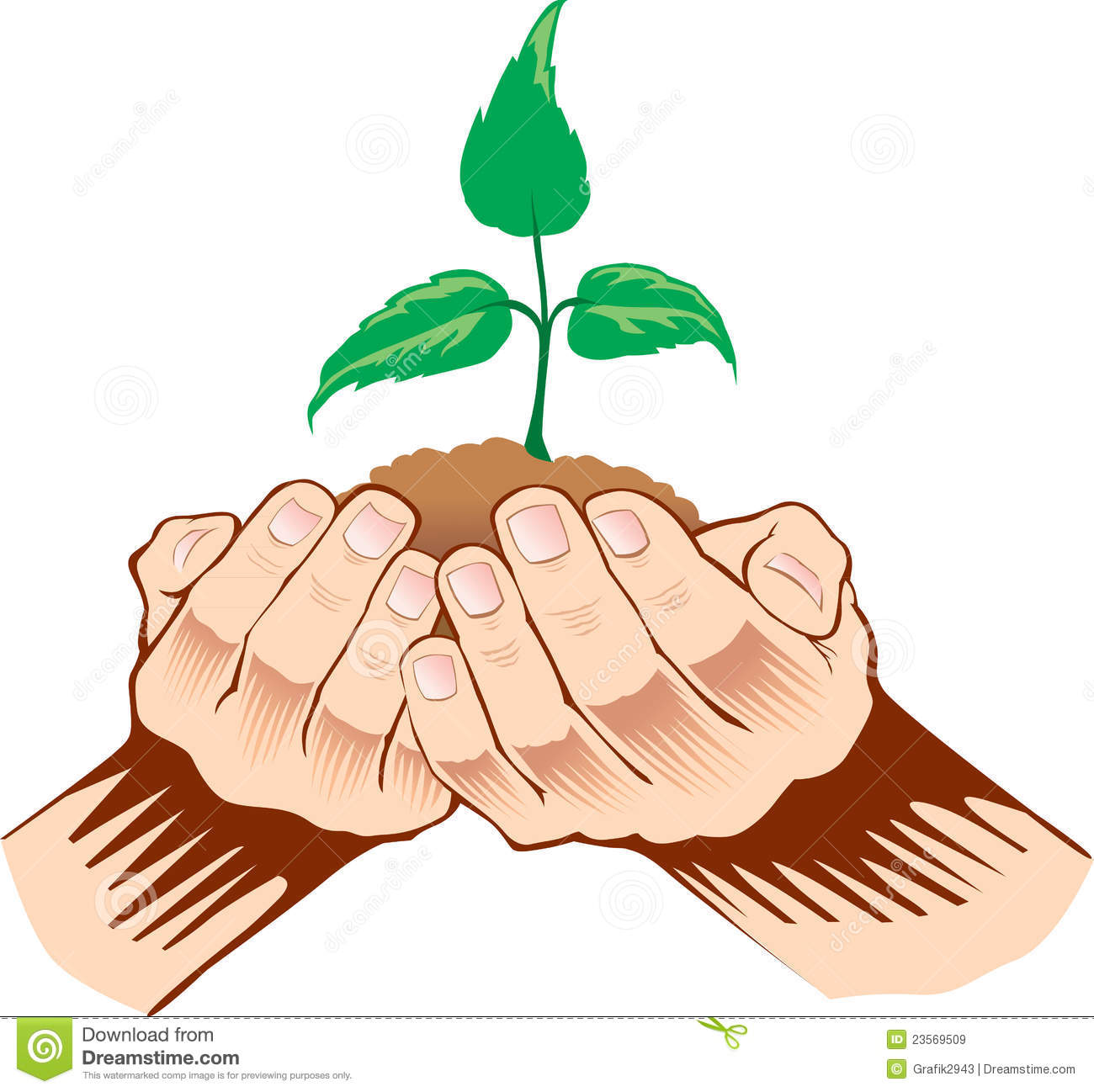 1300x1298 Sapling Clipart