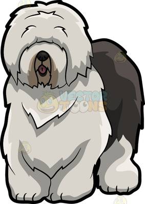 Collection of Sheepdog clipart | Free download best Sheepdog clipart on ...