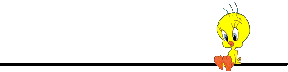 570x144 Line Divider