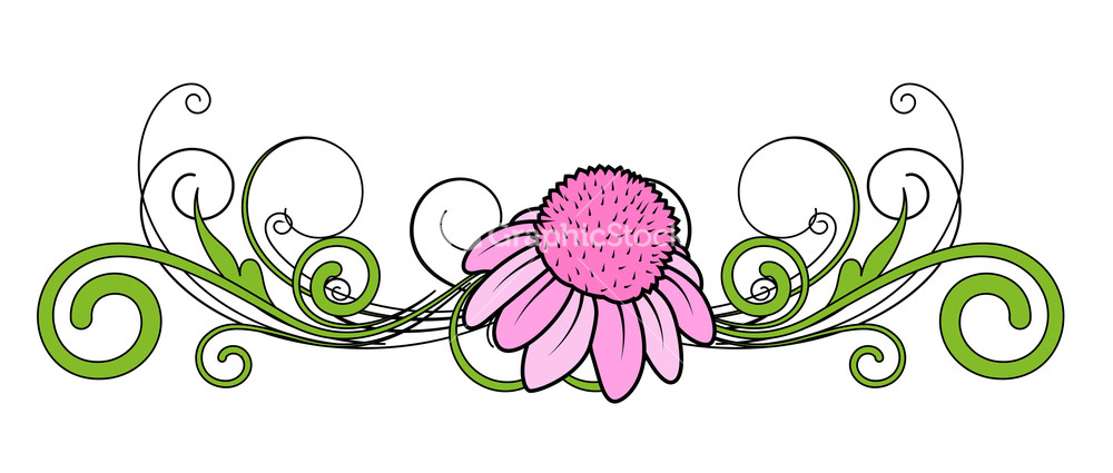 1000x425 Blossom Clipart Divider
